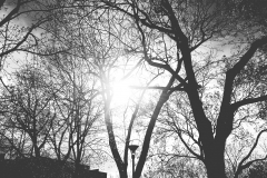 Eclairage incandescent