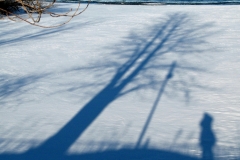 Une Lévêque sans s au Québec