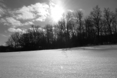Pureté hivernale