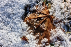 Transition