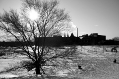 Soleil d'hiver