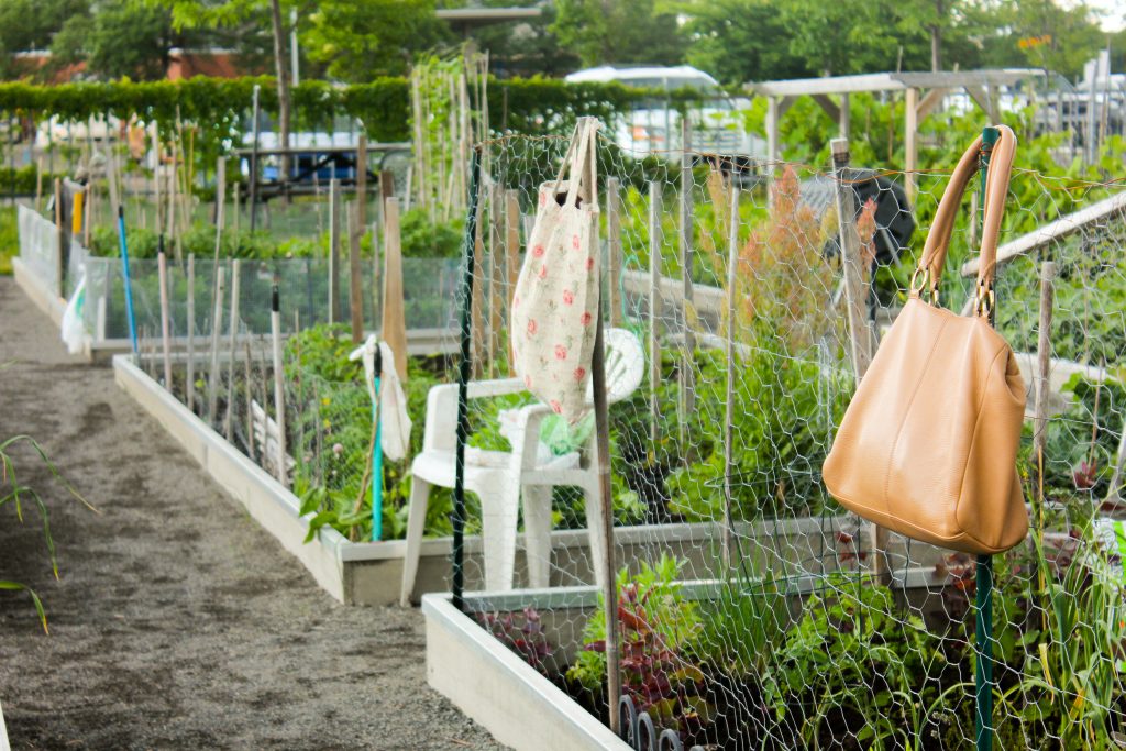 Jardin_communautaire_2016-2-1024x683.jpg